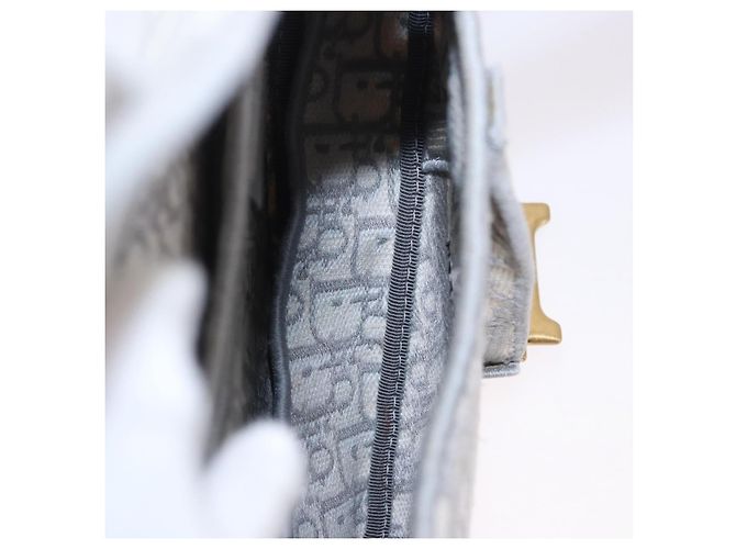 Borsa Christian Dior Trotter Canvas Saddle Oblique Grigio Oro Auth 199836SM Marrone D'oro - vista 18