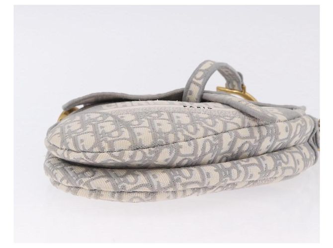 Borsa Christian Dior Trotter Canvas Saddle Oblique Grigio Oro Auth 199836SM Marrone D'oro - vista 9