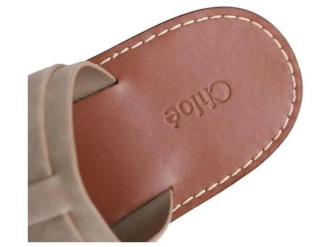 Sandali Chloé in camoscio grigi Grigio - vista 4