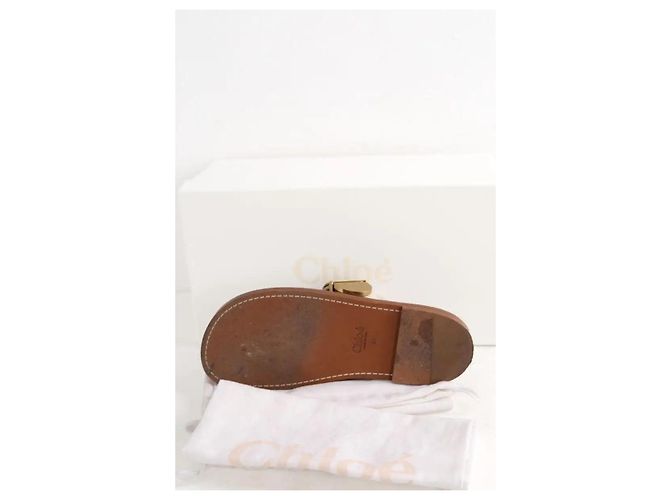 Sandali Chloé in camoscio grigi Grigio - vista 6