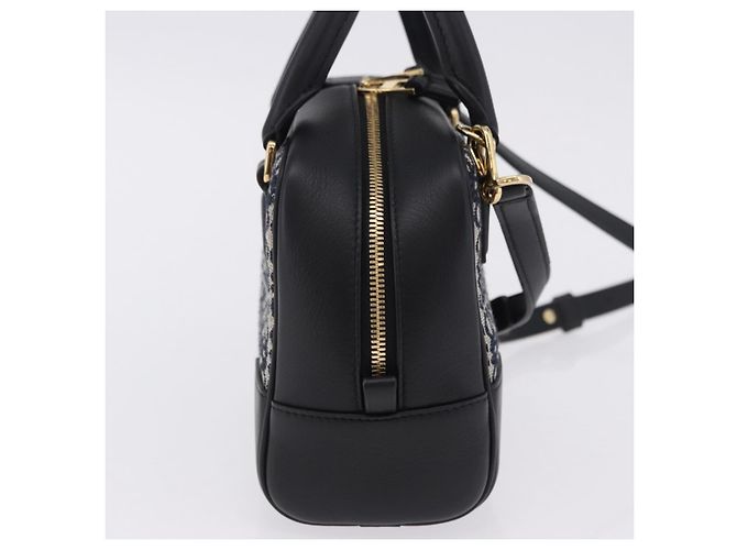 Borsa a mano LOEWE Anagram Amazona 16 Canvas 2way Nero Tono Oro Auth 199041SAM - vista 4