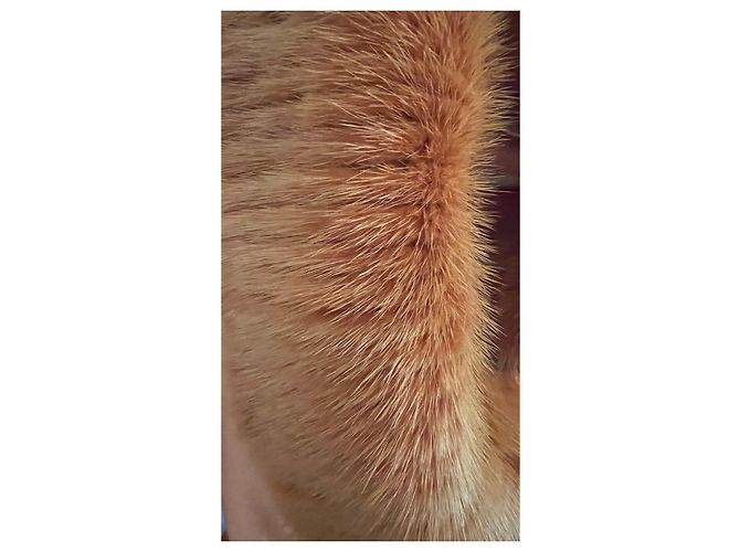 Abrigo Ermanno Scervino de cachemira Pumpkin con cuello de piel Naranja - vista 4