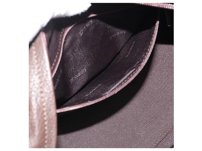 LOEWE Americana 28 Hand Bag Leather Dark Brown Silver - vista 25