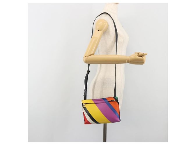 LOEWE Schultertasche aus Leder Multicolor Gold - Ansicht 23