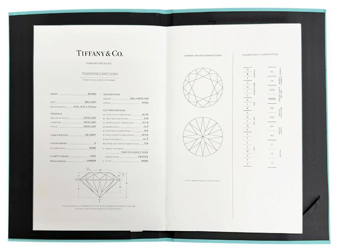 Tiffany & Co. Platin-Diamant-Bandring - Ansicht 9