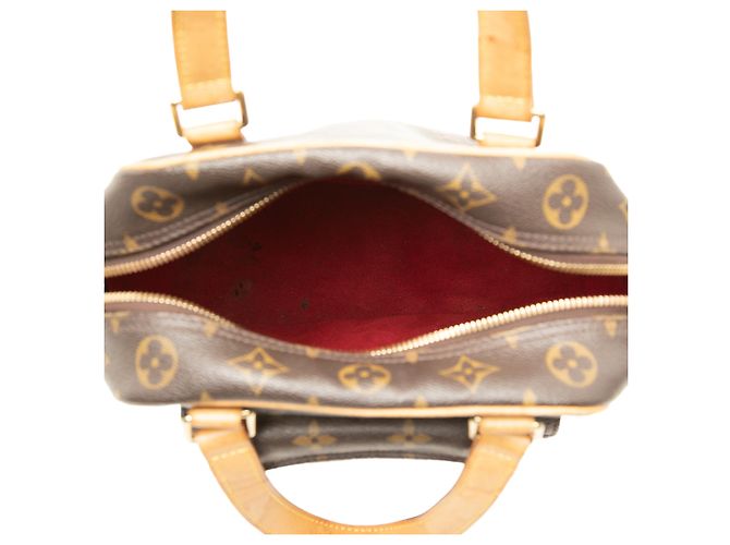 Louis Vuitton Brown Monogram Excentri Cite Marrone - vista 4
