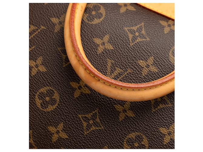 Louis Vuitton Brown Monogram Evasion Marrone - vista 7