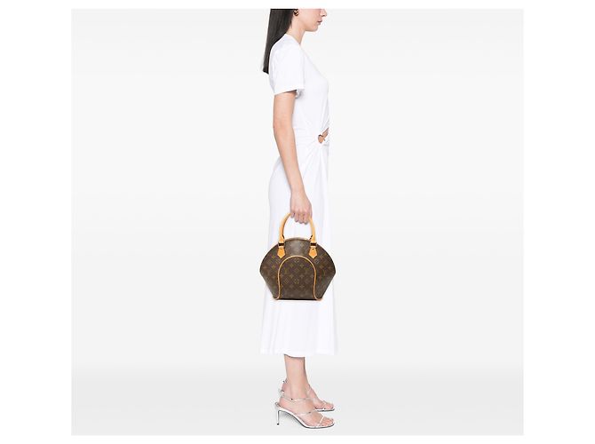 Louis Vuitton Brown Monogram Ellipse PM Marrone - vista 6