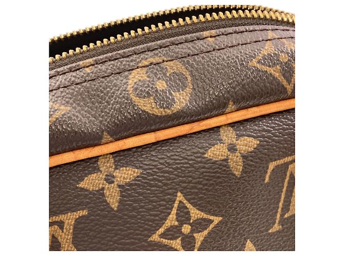 Borsa Tote Louis Vuitton Montorgueil PM Monogramma - vista 12