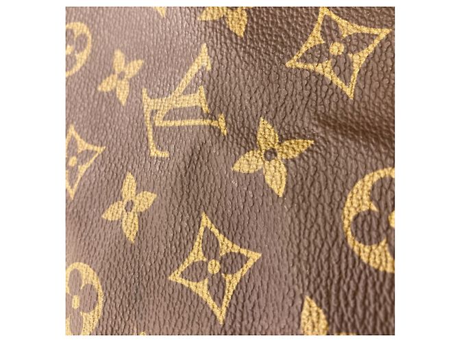 Borsa Boston Louis Vuitton Speedy 40 Monogramma - vista 12