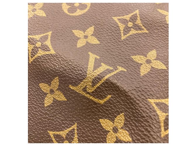 Borsa Boston Louis Vuitton Speedy 40 Monogramma - vista 13