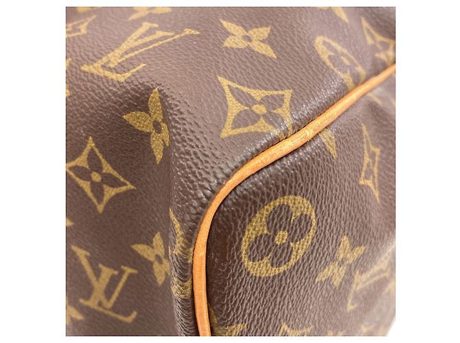 Borsa Boston Louis Vuitton Speedy 40 Monogramma - vista 19