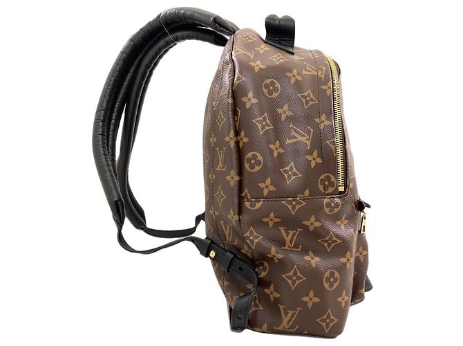 Louis Vuitton Monogram Canvas Palm Springs MM Backpack - view 3