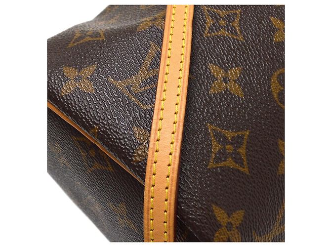 Louis Vuitton Noe Monogram Canvas Nano Marrone - vista 6