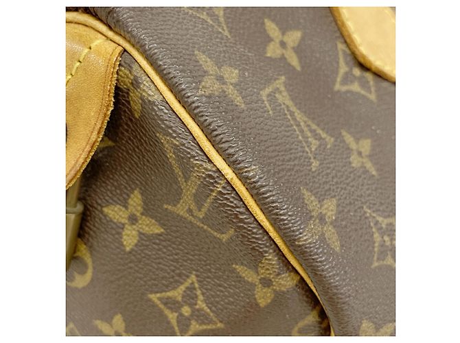 Borsa Louis Vuitton Monogram Speedy 30 Marrone - vista 14