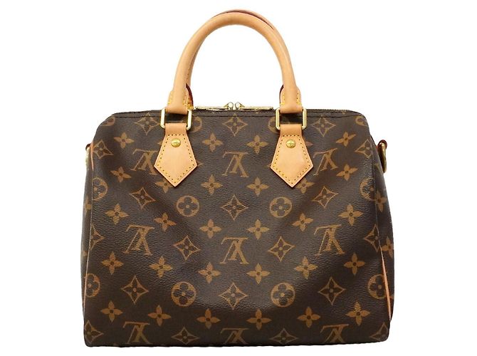 Borsa Louis Vuitton Monogram Speedy Bandoulière 25 Marrone - vista 14