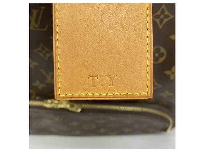 Borsa Louis Vuitton Boston Monogram Evasion Marrone - vista 6