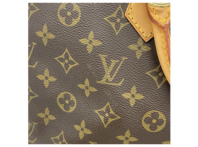 Bolso Louis Vuitton Monogram Amazon Castaño - vista 10