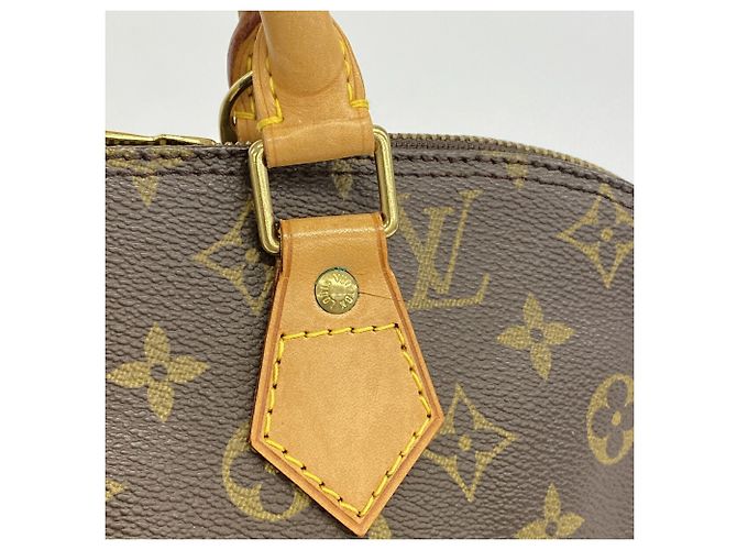 Bolso Louis Vuitton Monogram Amazon Castaño - vista 12