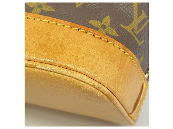 Bolso Louis Vuitton Monogram Amazon Castaño - vista 6