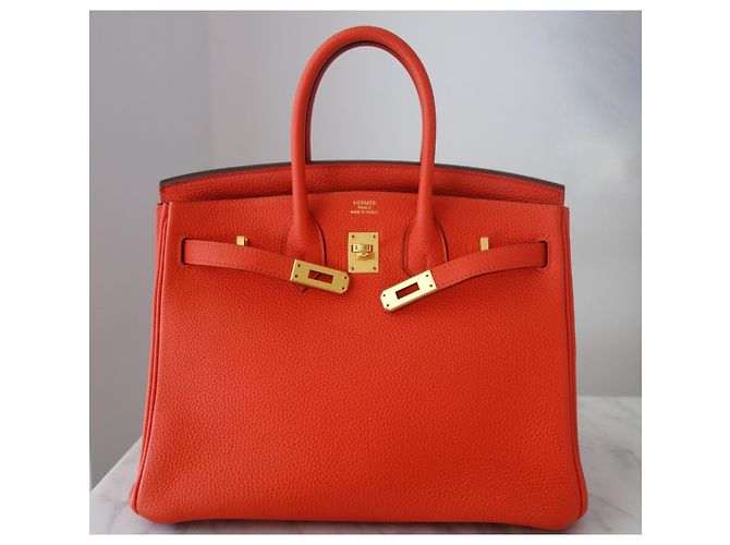 Hermès Birkin 25 Orange Poppy Leder - vue 2