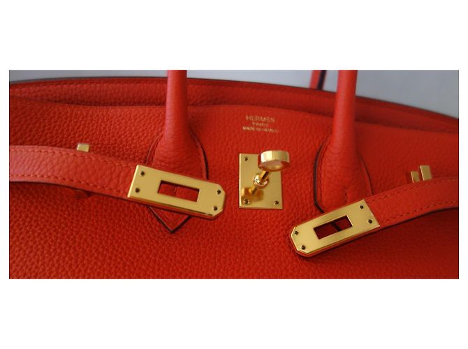 Hermès Birkin 25 Orange Poppy Leder - vue 8