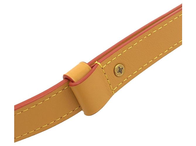Louis Vuitton This Is Not Monogram Soft Trunk Shoulder Bag Marrone - vista 8