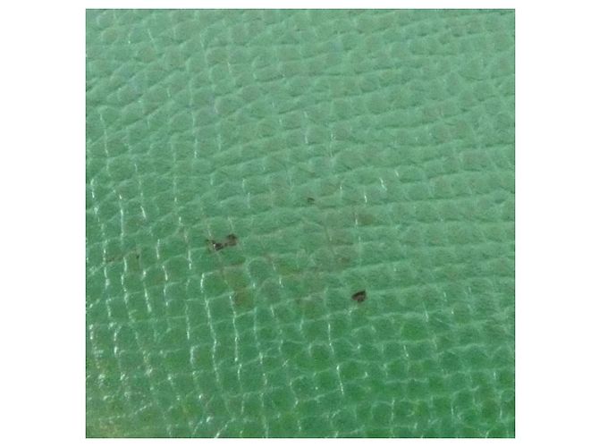 Hermès Borsa a mano Hermes Bolide 35cm Verde Verde chiaro - vista 6