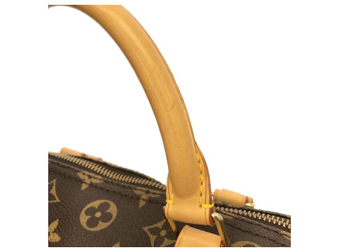 Borsa Boston Louis Vuitton Monogram Speedy Marrone - vista 6