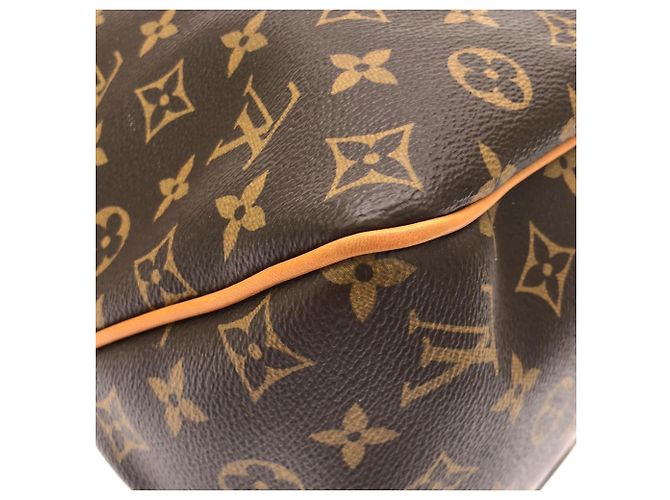 Borsa a tracolla Louis Vuitton Monogram Delightful PM Marrone Rosa - vista 2
