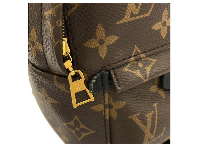 Louis Vuitton Monogram Palm Springs Rucksack MINI Braun - Ansicht 4