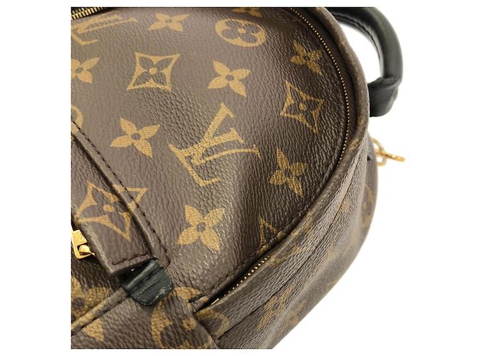 Louis Vuitton Monogram Palm Springs Rucksack MINI Braun - Ansicht 5