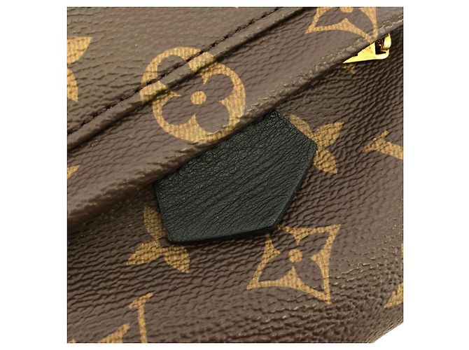 Louis Vuitton Monogram Palm Springs Rucksack MINI Braun - Ansicht 6