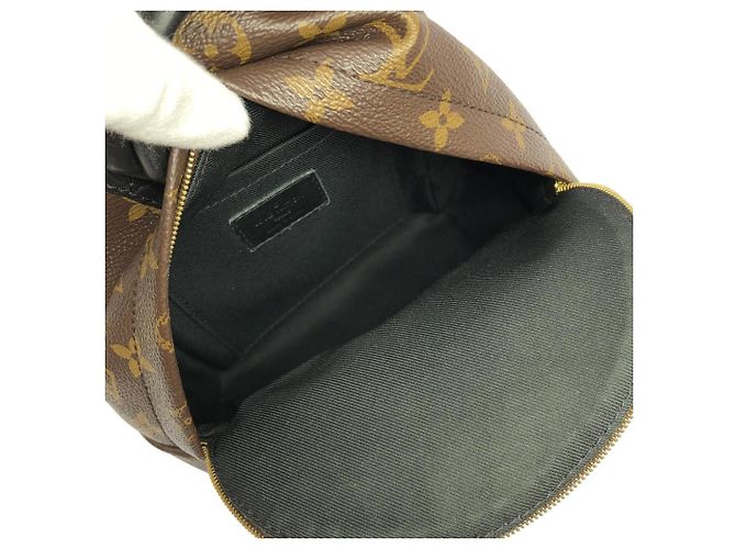 Louis Vuitton Monogram Palm Springs Rucksack MINI Braun - Ansicht 9