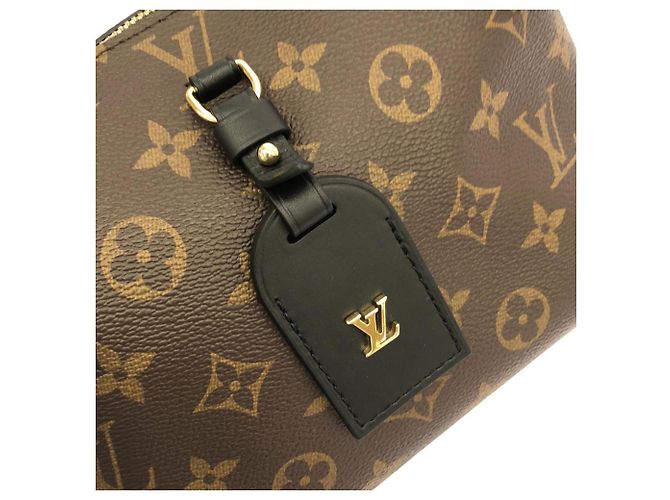 Borsa Louis Vuitton Monogram Petite Malle Souple Marrone Nero - vista 5