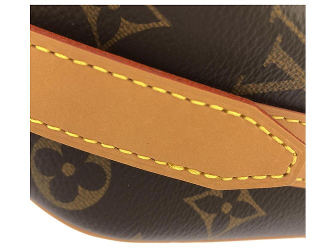 Borsa a tracolla Louis Vuitton Monogram Boite Chapeau Souple MM Marrone - vista 3