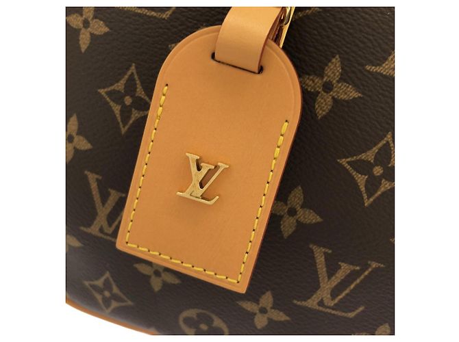 Borsa a tracolla Louis Vuitton Monogram Boite Chapeau Souple MM Marrone - vista 5