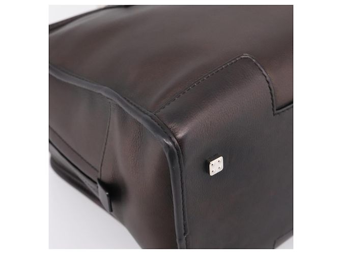 Borsa a mano LOEWE Amazona 36 in pelle Bronze Silver Auth 201931V Argento Bronzo - vista 16