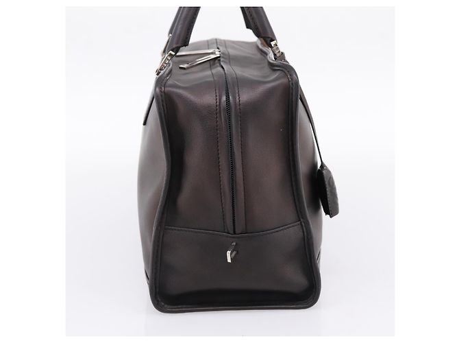 Borsa a mano LOEWE Amazona 36 in pelle Bronze Silver Auth 201931V Argento Bronzo - vista 3