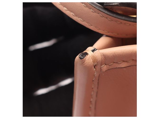 Borsa a mano Fendi Sunshine Shopper Mini Rosa - vista 9