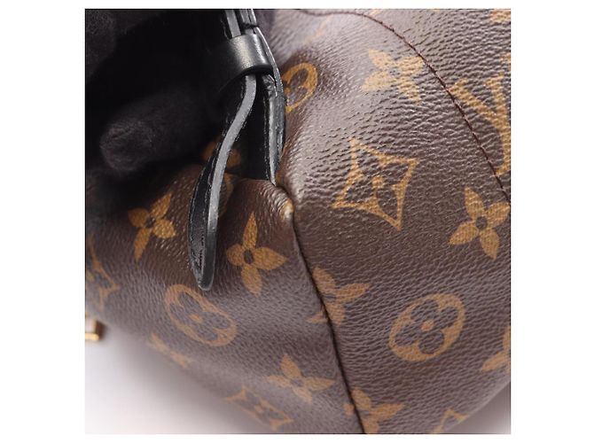 Zaino/Borsa Louis Vuitton Palm Springs PM Marrone Nero - vista 9