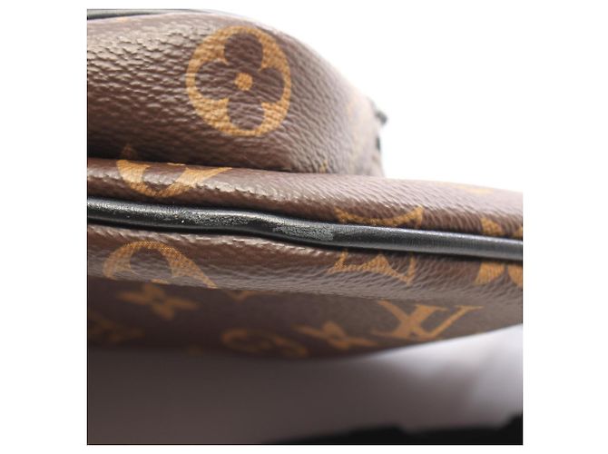 Louis Vuitton Christopher Bumbag Monogram Macassar Marrone Nero - vista 8