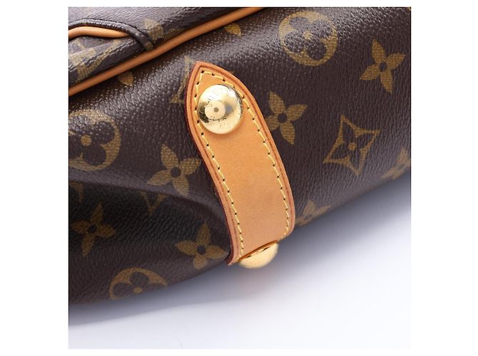Borsa a tracolla Louis Vuitton Galliera PM Marrone - vista 10