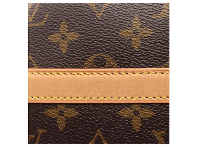 Borsa a tracolla Louis Vuitton Reporter PM Monogram Marrone - vista 8