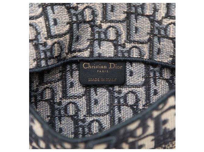 Dior Oblique Canvas Embroidered Saddle Slim Belt Pouch in Blau - Ansicht 5