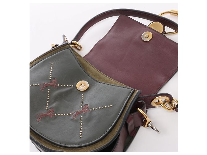 Chloé Borsa a tracolla Chloe Tess in pelle e camoscio Verde x Bordeaux Bordò - vista 11