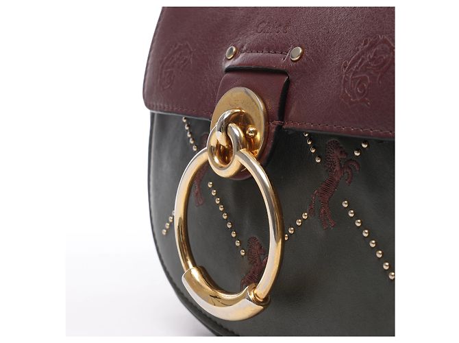Chloé Borsa a tracolla Chloe Tess in pelle e camoscio Verde x Bordeaux Bordò - vista 6