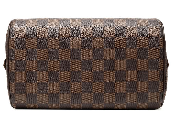 Louis Vuitton Brown Damier Ebene Mini Ribera Marrone - vista 3