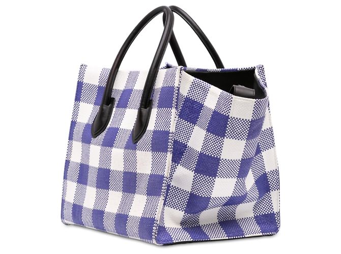Céline Celine Blue Medium Gingham Raffia Luggage Phantom Tote Azul - vista 2