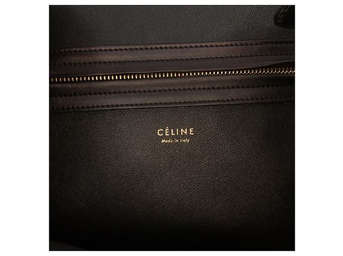 Céline Celine Blue Medium Gingham Raffia Luggage Phantom Tote Azul - vista 5